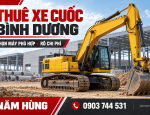 nam-hung-thue-xe-cuoc-binh-duong-1301.png